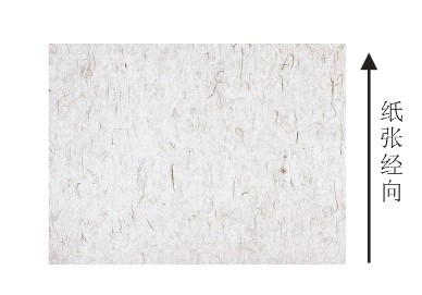 紙張經向 紙張經向
